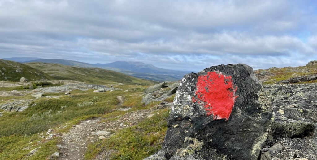 Naturbild på sidan om ägarskifte företag